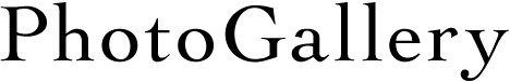 フォトギャラリー