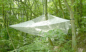 NEST