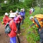 夏の自然体験入門　〜夏山登山に挑戦してみよう〜