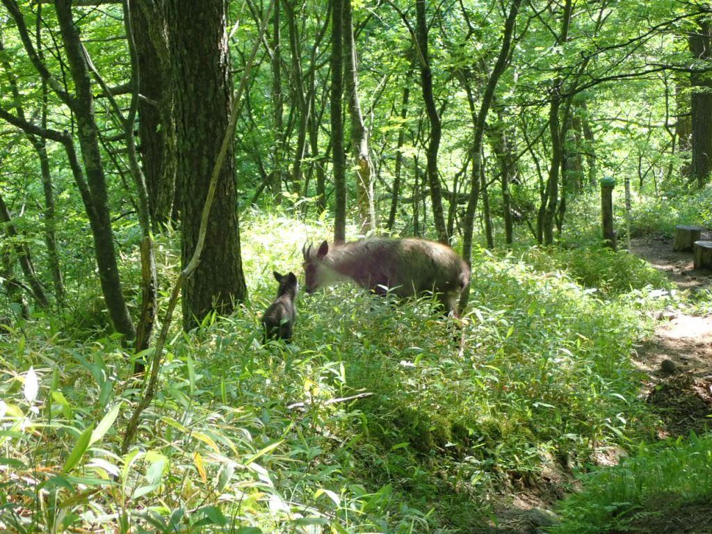 JAPAN TRAIL体験講習会