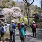 【報告】大人のトレイル歩き旅講座2024(1)